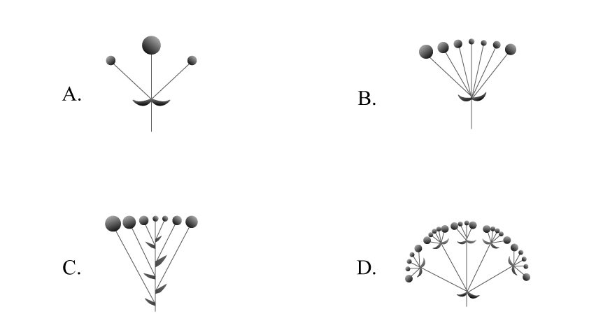 2020年国家公务员录用考试《行测》真题(地市级网友回忆版)(图39) 2020年国家公务员录用考试《行测》真题(地市级网友回忆版)(图39)