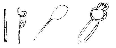 2016上半年教师资格证考试《幼儿保教知识与能力》真题及答案(图2) 2016上半年教师资格证考试《幼儿保教知识与能力》真题及答案(图2)