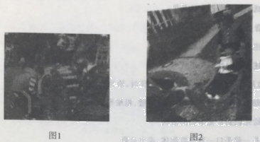 2018年下半年教师资格证考试《保教知识与能力》(幼儿园)真题(图1) 2018年下半年教师资格证考试《保教知识与能力》(幼儿园)真题(图1)