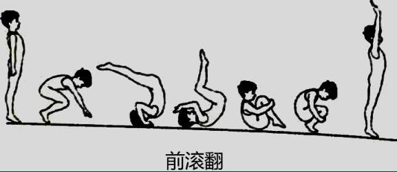 2016上半年教师资格证考试《小学教育教学知识与能力》真题及答案(图6) 2016上半年教师资格证考试《小学教育教学知识与能力》真题及答案(图6)