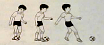 2022年下半年教师资格证考试《教育教学知识与能力》(小学)题(考生回忆版)(图6) 2022年下半年教师资格证考试《教育教学知识与能力》(小学)题(考生回忆版)(图6)