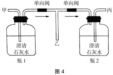 2019年下半年教师资格证考试《初中生物》题(图4) 2019年下半年教师资格证考试《初中生物》题(图4)
