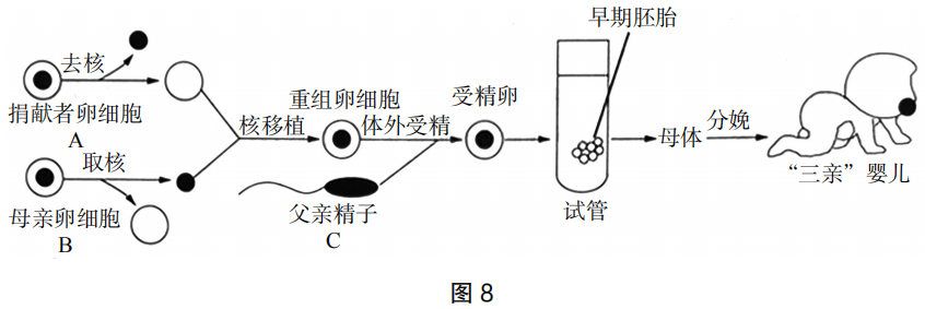 2019年下半年教师资格证考试《初中生物》题(图9) 2019年下半年教师资格证考试《初中生物》题(图9)