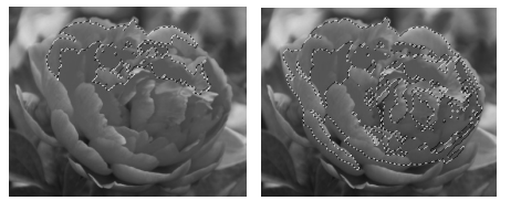 2019年下半年教师资格证考试《初中信息技术》题(图9) 2019年下半年教师资格证考试《初中信息技术》题(图9)