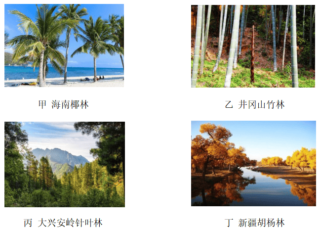 2020年下半年教师资格证考试《初中地理》题(图1) 2020年下半年教师资格证考试《初中地理》题(图1)