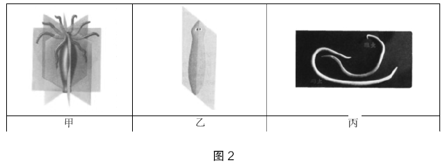 2020年下半年教师资格证考试《初中生物》题(考生回忆版)(图2) 2020年下半年教师资格证考试《初中生物》题(考生回忆版)(图2)