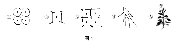 2020年下半年教师资格证考试《初中生物》题(考生回忆版)(图1) 2020年下半年教师资格证考试《初中生物》题(考生回忆版)(图1)