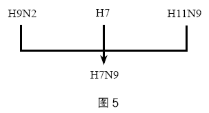2020年下半年教师资格证考试《初中生物》题(考生回忆版)(图10) 2020年下半年教师资格证考试《初中生物》题(考生回忆版)(图10)