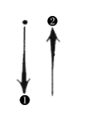2021年下半年教师资格证考试《初中音乐》题(考生回忆版)(图23) 2021年下半年教师资格证考试《初中音乐》题(考生回忆版)(图23)