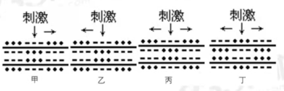 2021年下半年教师资格证考试《初中生物》题(考生回忆版)(图6) 2021年下半年教师资格证考试《初中生物》题(考生回忆版)(图6)