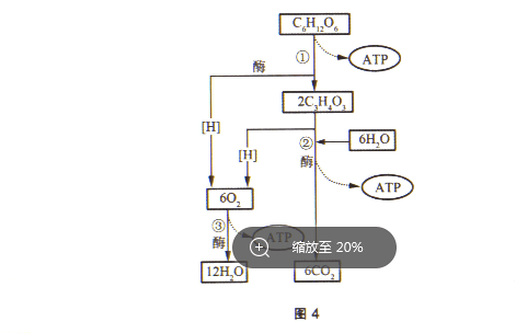 2021年上半年教师资格证考试《初中生物》题(图15) 2021年上半年教师资格证考试《初中生物》题(图15)