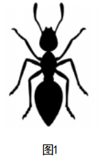 2023年上半年教师资格证考试《初中生物》题(考生回忆版)(图1) 2023年上半年教师资格证考试《初中生物》题(考生回忆版)(图1)