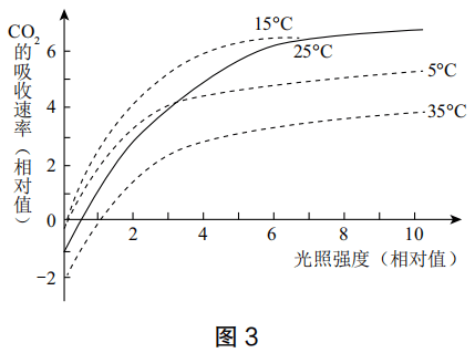 2019年下半年教师资格证考试《高中生物》题(图3) 2019年下半年教师资格证考试《高中生物》题(图3)