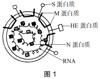 2019年上半年教师资格证考试《高中生物》题(图1) 2019年上半年教师资格证考试《高中生物》题(图1)