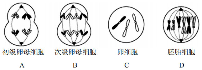 2019年上半年教师资格证考试《高中生物》题(图6) 2019年上半年教师资格证考试《高中生物》题(图6)