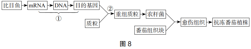 2019年上半年教师资格证考试《高中生物》题(图9) 2019年上半年教师资格证考试《高中生物》题(图9)