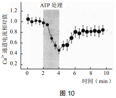 2019年上半年教师资格证考试《高中生物》题(图12) 2019年上半年教师资格证考试《高中生物》题(图12)