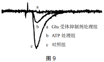 2019年上半年教师资格证考试《高中生物》题(图11) 2019年上半年教师资格证考试《高中生物》题(图11)