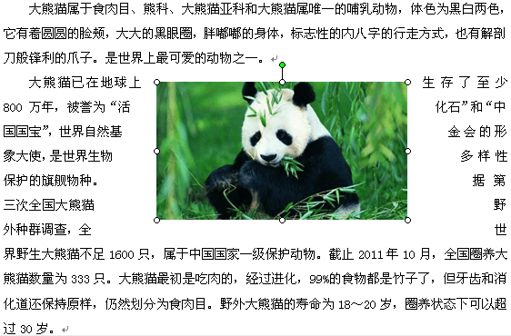 2019年下半年教师资格证考试《高中信息技术》题(图1) 2019年下半年教师资格证考试《高中信息技术》题(图1)