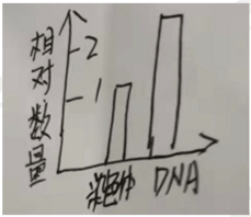 2021年下半年教师资格证考试《高中生物》题(考生回忆版)(图8) 2021年下半年教师资格证考试《高中生物》题(考生回忆版)(图8)