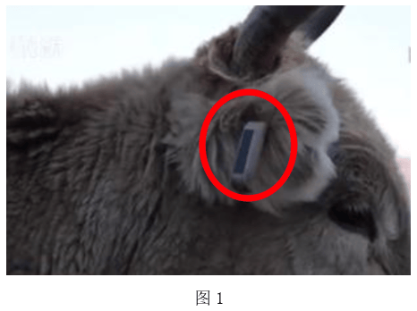 2021年下半年教师资格证考试《高中信息技术》题(图1) 2021年下半年教师资格证考试《高中信息技术》题(图1)