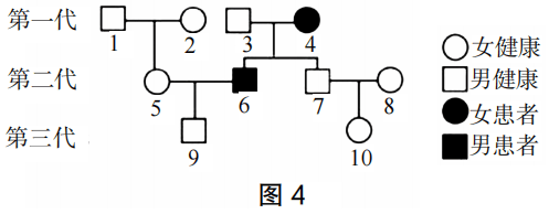 2023年上半年教师资格证考试《高中生物》题(考生回忆版)(图11) 2023年上半年教师资格证考试《高中生物》题(考生回忆版)(图11)