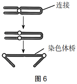 2023年上半年教师资格证考试《高中生物》题(考生回忆版)(图15) 2023年上半年教师资格证考试《高中生物》题(考生回忆版)(图15)