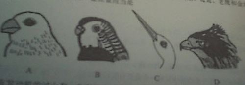 2016下半年教师资格证考试《幼儿综合素质》真题及答案(图2)