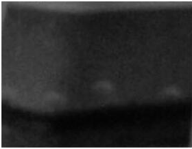 2017下半年教师资格证考试《幼儿综合素质》真题及答案(图1)