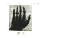 2015下半年教师资格证考试《小学综合素质》真题及答案(图2)