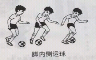 2017上半年教师资格证考试《小学教育教学知识与能力》真题及答案(图9)