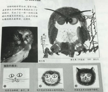 2018上半年教师资格证考试《小学教育教学知识与能力》真题及答案（已完整）(图8)