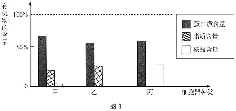 2019年上半年教师资格证考试《初中生物》题(图1)
