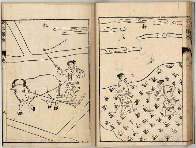 2021年下半年教师资格证考试《初中历史》题（考生回忆版）(图4)