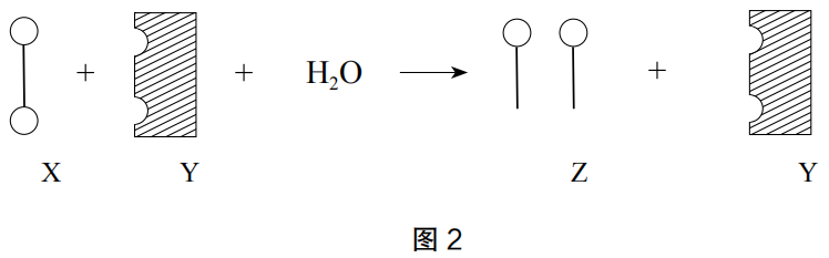 2020年下半年教师资格证考试《高中生物》题（考生回忆版）(图2)
