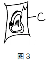 2020年下半年教师资格证考试《高中生物》题（考生回忆版）(图3)