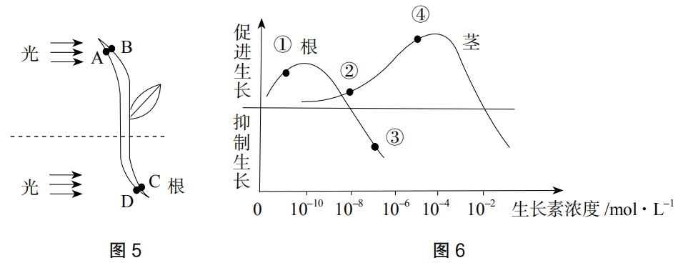 2020年下半年教师资格证考试《高中生物》题（考生回忆版）(图5)