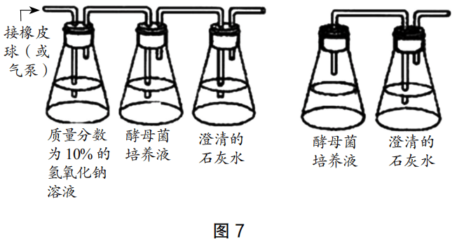 2020年下半年教师资格证考试《高中生物》题（考生回忆版）(图6)