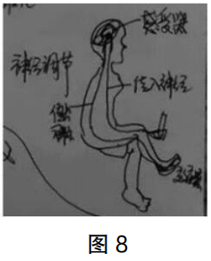 2020年下半年教师资格证考试《高中生物》题（考生回忆版）(图7)