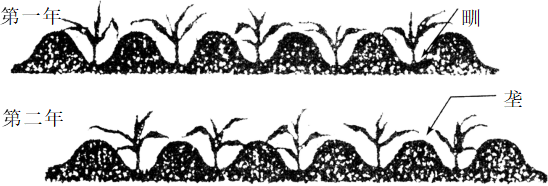 2020年下半年教师资格证考试（高中历史）题(图1)