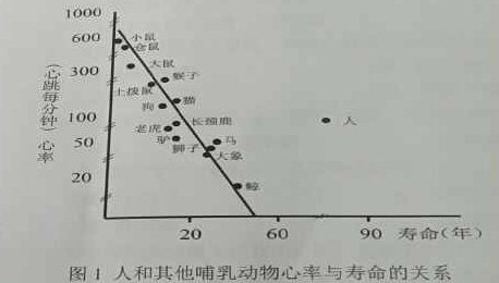 2022年上半年教师资格证考试《高中体育与健康》题(图1)