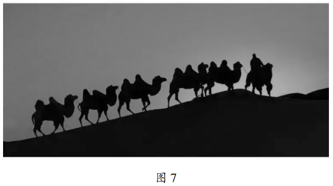 2022年下半年教师资格证考试《高中美术》题(图7)